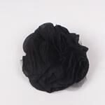 Черно малко декоративно цвете