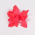 Червено малко декоративно цвете с прелички