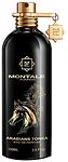 Montale Arabians tonka 100мл EDP - Тестер - унисекс