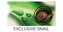 EXCLUSIVE SNAIL EXCLUSIVE SNAIL Изображение