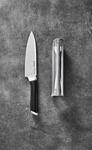 Комплект нож Tefal Ever Sharp 16,5 cm и точило (K2569004)