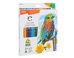 Цветни моливи  EC00210 - различен брой цветове