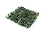 Декоративно пано Green Wall 165050 - 50 х 50 cm