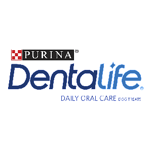 DentaLife