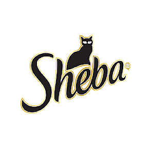 Sheba Craft