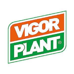 Vigor Plant