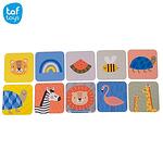 Taf Toys Образователни карти за най-малките TT12835