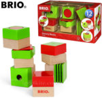 Brio - Дървени кубчета Sensory Blocks 30436