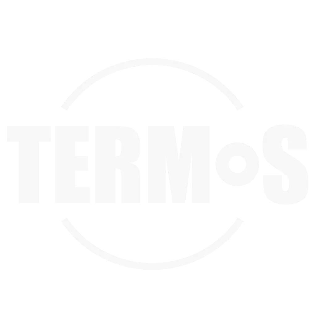 Термостат Netatmo Smart Termostat-Copy