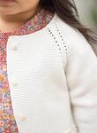 Pull, Gilet (tricot)