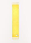 SCIARPA 37X230