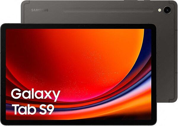 Samsung Galaxy Tab S9 11.0 X710 / X716B
