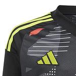 Levski Goalkeeper Black Jersey 2024/25