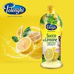 Лимонов сок Polenghi 500 мл