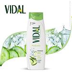 Vidal Purificante shampoo шампоан за мазна коса 250 ml