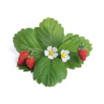 VERITABLE Lingot® Wild Red Strawberry - Червени диви Ягоди