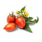 VERITABLE Lingot® Red Cherry tomato - Червени чери домати