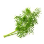 VERITABLE Lingot® Fennel - Фенел