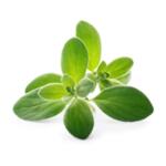 VERITABLE Lingot® Marjoram Organic - Майорана