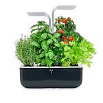 Система за домашна градина VÉRITABLE - SMART Edition, черна-инокс