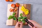 Мини градинска ножица VERITABLE - MINI-SNIPS