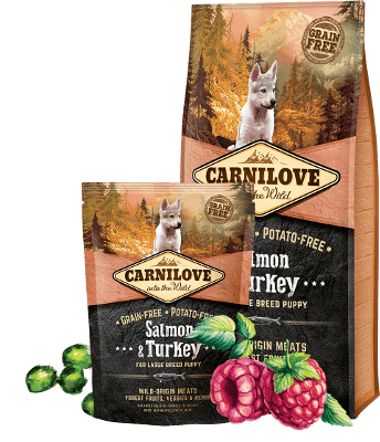 CARNILOVE Salmon & Turkey (Large Breed Puppy) CARNILOVE Salmon & Turkey (Large Breed Puppy)