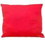 Възглавничка със снимка 38 на 32 см с червен гръб