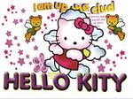 Тениска със сладко котенце HELLO KITTY t1092-Copy