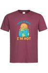 Мъжка тениска "This is why I'm hot"