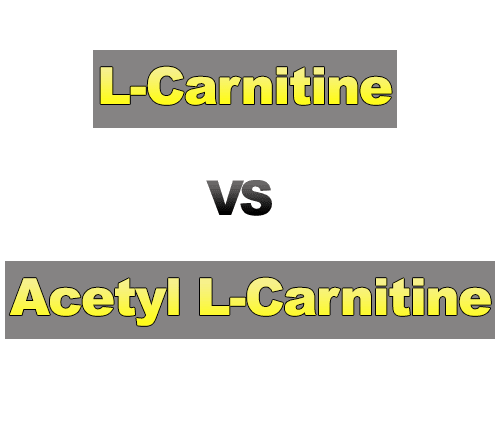 Л-Карнитин vs. Ацетил Л-Карнитин - Каква е разликата
