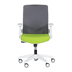 Работен офис стол Carmen 7547 - комбинация от сиво и зелено