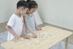 Учи сетивата - пъзел за сортиране, Viga Toys