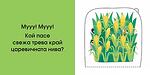 КОЙ СЕ КРИЕ ТУК? • ВЪВ ФЕРМАТА - ПОГЛЕДНИ ПОД КАПАЧЕТО!