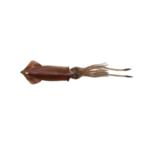 Силиконова примамка Savage Gear 3D SWIM SQUID - 26см