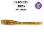 Силикон Crazy Fish Tipsy 2" - 5.0 cm, 50-9-6