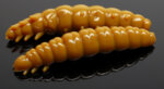 Силикон Libra Lures LARVA 30 - 036 Coffee milk (вкус Сирене)