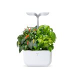 Домашна градина EXKY® SMART GARDEN - цвят бял/инокс