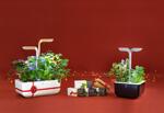 Настолна домашна градинка Exky® SMART Garden - цвят бял и инокс