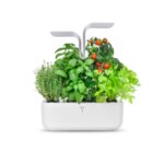 Настолна домашна градина Véritable® SMART Garden - цвят бял и инокс