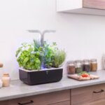 Домашна градина SMART VÉRITABLE® GARDEN - цвят черен/инокс
