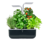 Домашна градина SMART VÉRITABLE® GARDEN - цвят черен/инокс