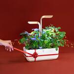 Настолна домашна градина Véritable® SMART Garden - цвят черен и инокс