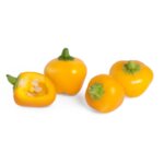 Пълнител (лингот) Yellow Mini Bell Pepper за настолна градина Véritable® - жълти мини камби