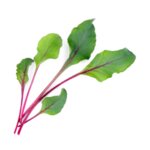 Пълнител (лингот) Beet Greens Organic за настолна градина Véritable® - листа цвекло