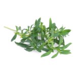 VERITABLE Lingot® Wild Savory Organic - Дива Чубрица