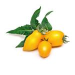 Пълнител (лингот) Yellow Mini Tomato за настолна градина Véritable® - жълти мини домати
