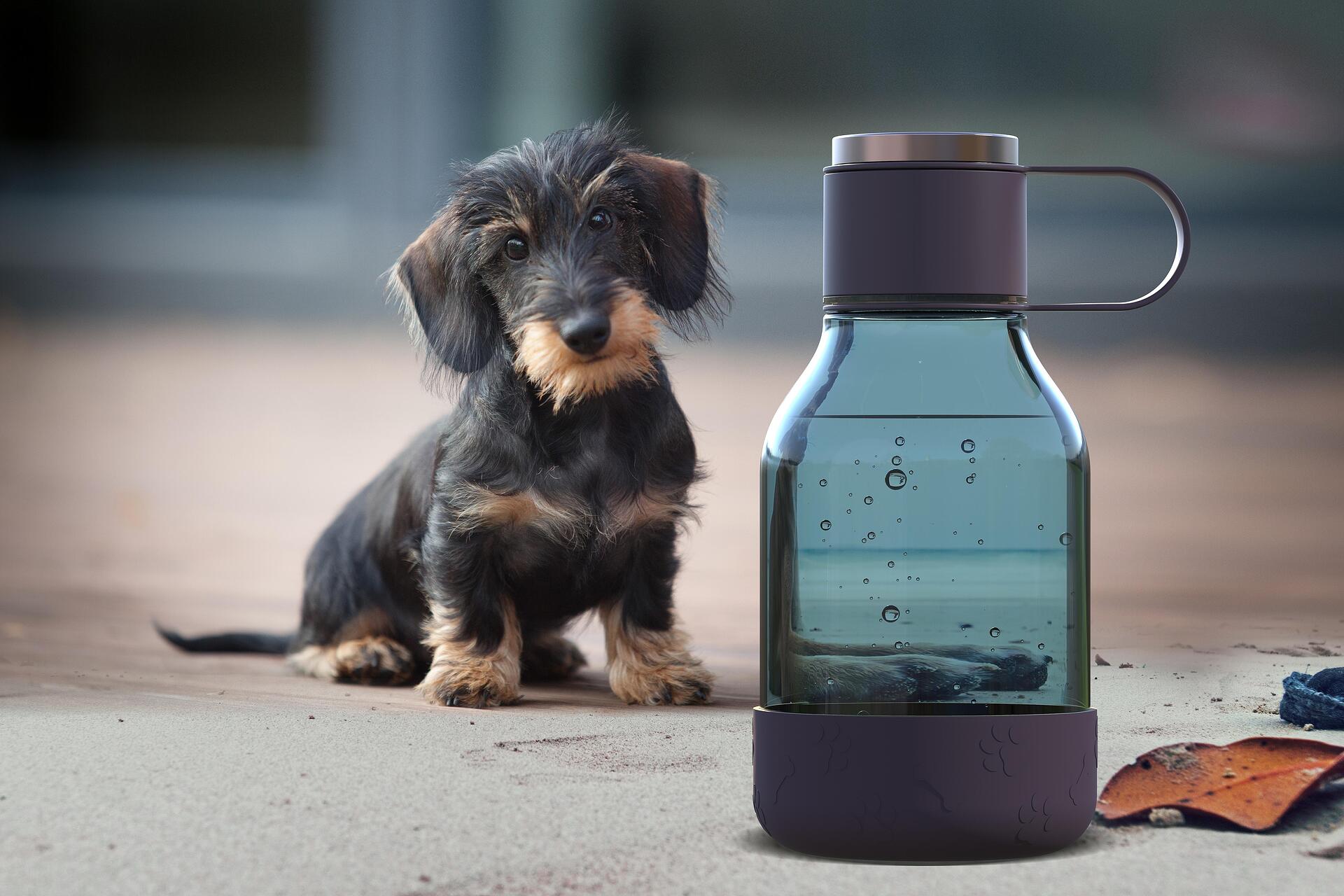 ASOBU Бутилка за вода с купичка за куче “DOG BOWL“- 1,5л - цвят бордо