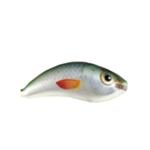 Hard Lure Ugly Duckling UD-S - 4cm ✔️️ Shallow diving lures
