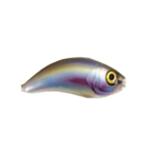 Hard Lure Ugly Duckling UD-S - 4cm ✔️️ Shallow diving lures