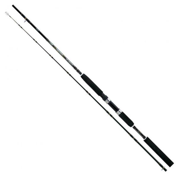 Jigging Rods ⭐ GREAT PRICES of Specialized Rods »  - Rapture